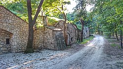 Colina de la bodega