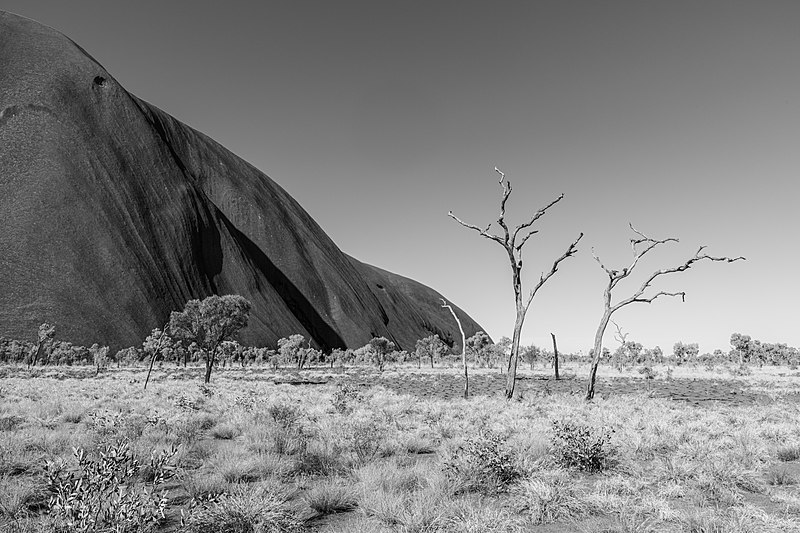 File:Petermann Ranges (AU), Uluru-Kata Tjuta National Park, Uluru, Kuniya Walk -- 2019 -- 3615 (bw).jpg