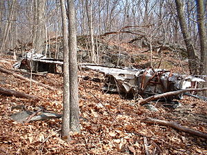 wreckage in the forest