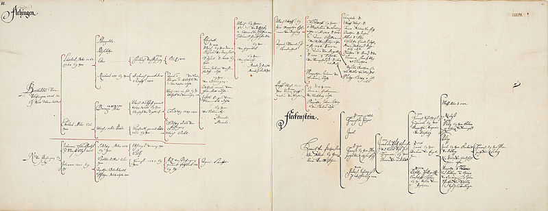 File:Pleickhard von Helmstatt Stammbäume img0032.jpg