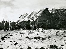Members of the Tanager Expedition explore an abandoned feather collecting camp on Peale Island. Poacher's workshop, Peale Island, July 27, 1923.jpg