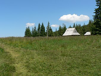 Południowy fragment polany Kopieniec