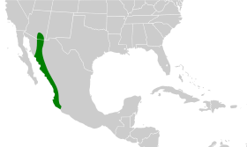 Distribución geográfica de la perlita capirotada.