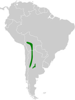 Distribución geográfica de la monterita pechigrís.