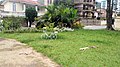 Praça Marechal Rondon, Parque das Palmeiras, Angra dos Reis 04.jpg