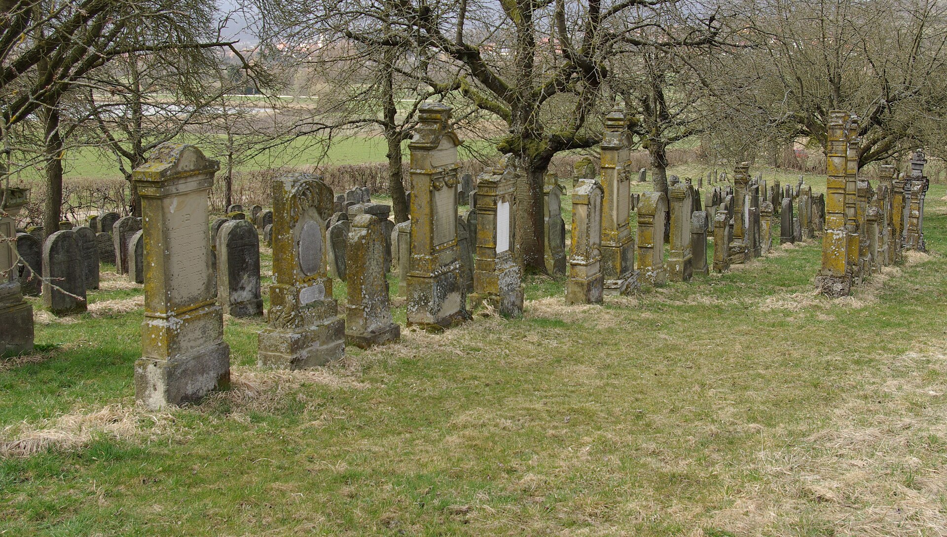 Pretzfeld Jüdischer Friedhof Hagenbach 008.JPG