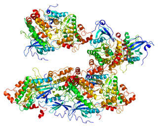 <span class="mw-page-title-main">DAPK2</span> Protein-coding gene in the species Homo sapiens