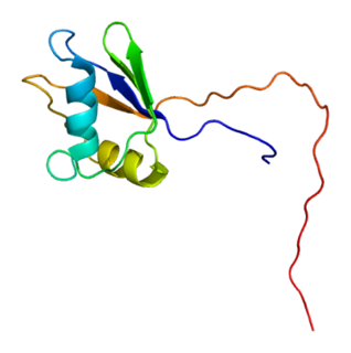 PARP10 protein-coding gene in the species Homo sapiens