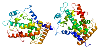 <span class="mw-page-title-main">Peroxisome proliferator-activated receptor delta</span> Nuclear receptor protein found in humans