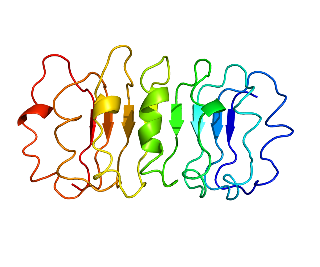 Thyrotropin receptor