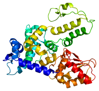 <span class="mw-page-title-main">WWP1</span> Protein-coding gene in the species Homo sapiens