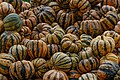 * Nomination Winter squash Cucurbita pepo "Sweet Dumpling", pumpkin festival in the garden of Ludwigsburg Palace, Ludwigsburg, Baden-Württemberg, Germany --Llez 09:54, 14 January 2024 (UTC) * Promotion A bit grainy, do you think you could apply a bit more NR while retaining sharpness? --Plozessor 10:00, 14 January 2024 (UTC)  Done Thanks for the review --Llez 14:09, 14 January 2024 (UTC)  Support Thx! Good quality. --Plozessor 14:22, 14 January 2024 (UTC)