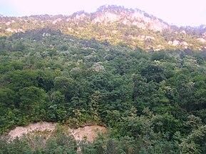 Muntele Domogled
