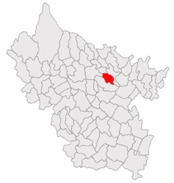 Location of Racoviţeni