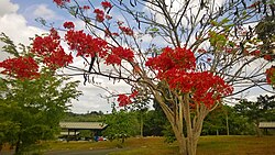 Refugio de vida silvestre del Embalse La Plata, Toa Alta, Puerto Rico.jpg