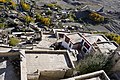 * Nomination Roofs of Gompa buildings, village at the bottom, Karsha, Zanskar, India --Tagooty 02:22, 18 December 2022 (UTC) * Promotion  Support Good quality -- Johann Jaritz 03:12, 18 December 2022 (UTC)