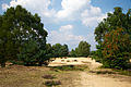 Sandverwehung in der Roosendaalse Heide