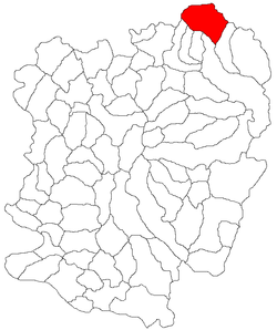 Location in Caraș-Severin County