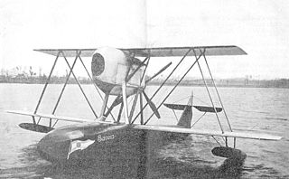 <span class="mw-page-title-main">SIAI S.21</span> Type of aircraft