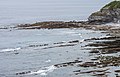 * Nomination The Basque Coast viewed from Pointe de Sainte Barbe. Flysch and a fisherman. Saint-Jean-de-Luz, Basque Country, France --Basotxerri 07:55, 6 May 2017 (UTC) * Promotion Good quality. --Poco a poco 14:26, 6 May 2017 (UTC)