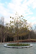 Sandy Hook Memorial