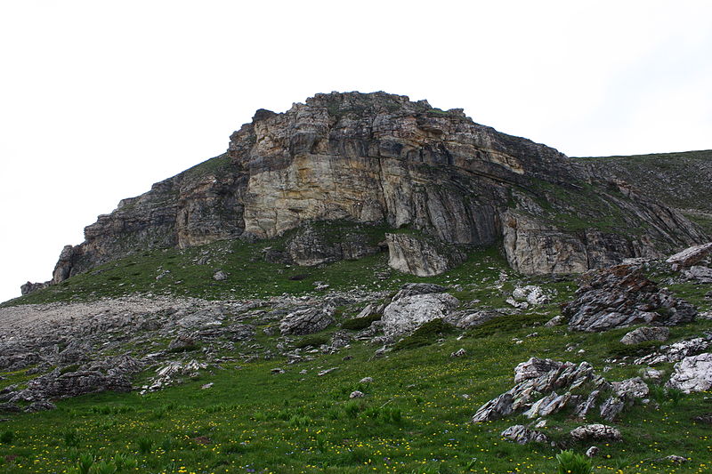 File:Sar Planina Maj 2010 (103).jpg