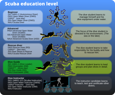 Scuba diving education levels as used by ISO, PADI, CMAS, SSI and NAUI Scuba education levels.svg