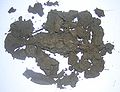 Sediment clay.JPG