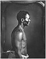 Fassena a mandingo Carpender on Wade Hampton Plantation, South Carolina[Note a full face picture can be found at https://saa3dm.org/2021/11/16/1850]