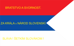 One of more flags used by slovak volunteers during Slovak Uprising 1848. Flags from this period introduced blue color into the slovak flag for the first time, after the Slavic Congress. Used also as flag of Slovak National Council(1848–1849)