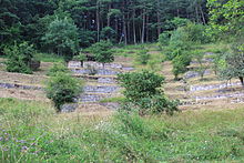 Hangterrassen am Spitzberg bei Hirschau