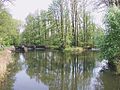 Spreewald - Blick auf die nördliche Hauptregulation an der Spree