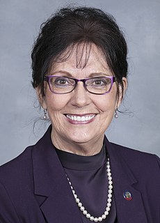Cynthia Ball American politician