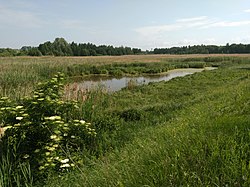 река в заказнике Ставы