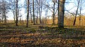 8798 2022-01-14 fredag Stensättning på Getaberget, Väsmestorps naturreservat, Sörby sn, Falköpings kn, Västergötland.