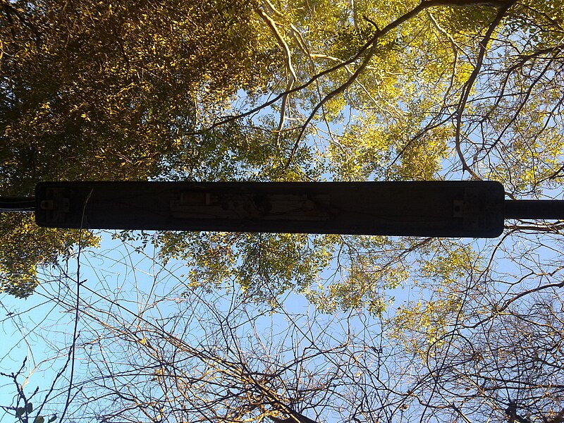 File:Street light on Gladesville Road.jpg