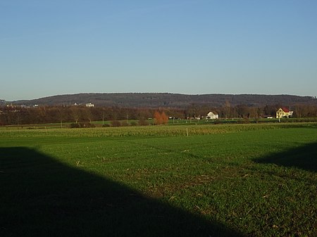 Stuckenberg von Elverdissen fotografiert