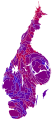 Cartogram of vote with each municipality rescaled in proportion to number of valid votes cast. Deeper blue represents a greater relative majority for the centre-right coalition, brighter red represents a greater relative majority for the left-wing coalition.