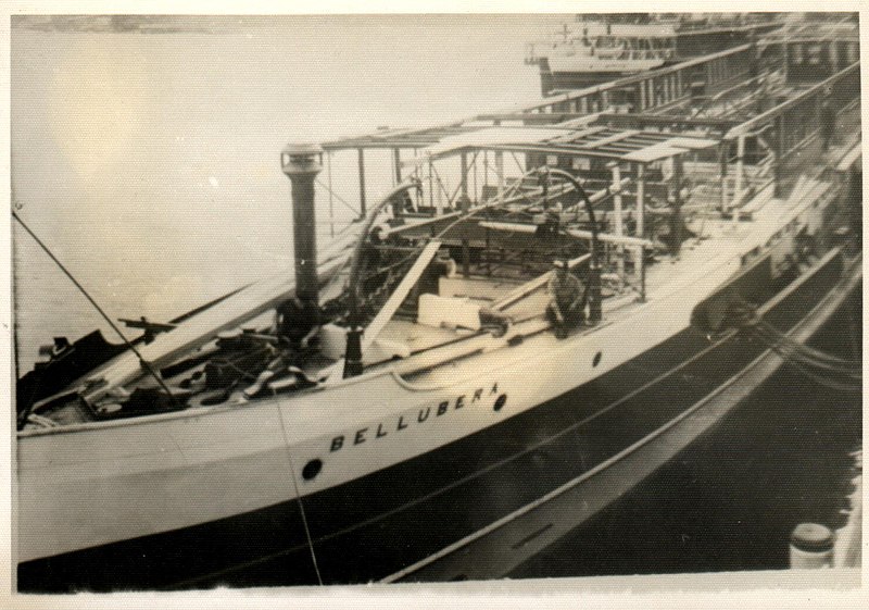 File:Sydney Ferry BELLUBERA 1935-1936.jpg