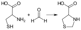 Synthese von 1,3-Thiazolidine-4-carbonsäure aus Cystein und Formaldehyd