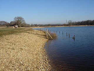 <span class="mw-page-title-main">Testwood Lakes</span>