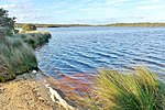 Thumbnail for Scott River (Western Australia)