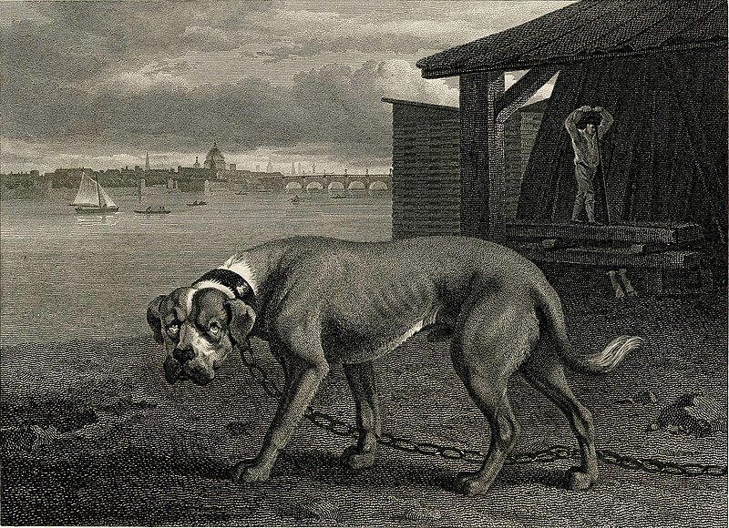 File:The Mastiff Reinagle 1894.jpg