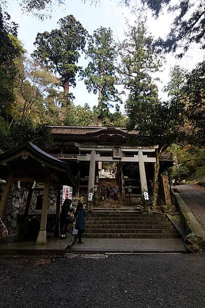 File:The cedar tree is 800 years old (6911090386).jpg