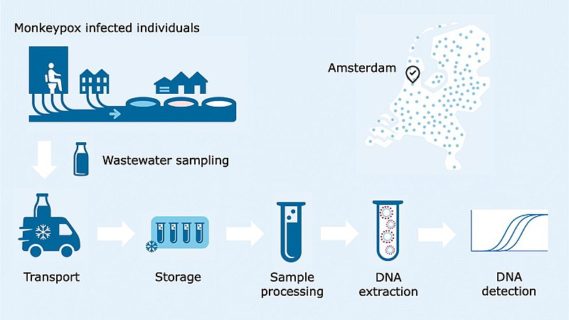 File:The detection of monkeypox virus DNA in wastewater samples in the Netherlands.jpg