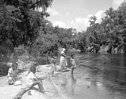Children fishing on the Suwannnee River, 1957