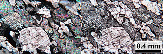 Dolomite and calcite look similar under a microscope, but thin sections can be etched and stained in order to identify the minerals. Photomicrograph of a thin section in cross and plane polarised light: the brighter mineral grains in the picture are dolomite, and the darker grains are calcite.