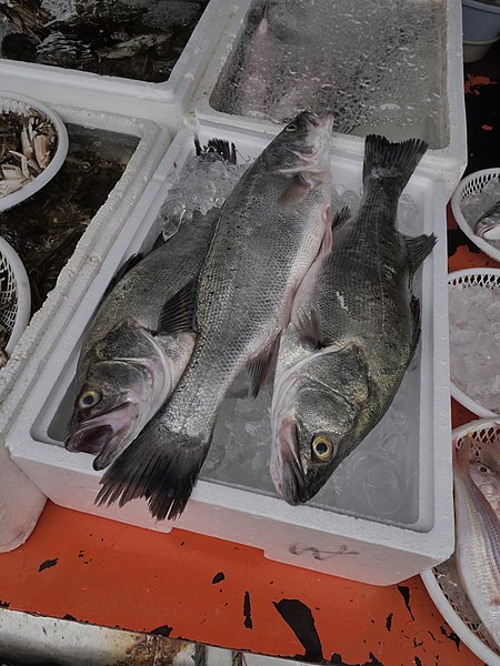 File:Three fresh fishes at the Styrofoam boxes in Fishermen Boat.jpg