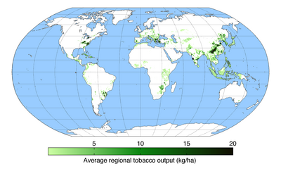 Map of tobacco production across the world TobaccoYield.png