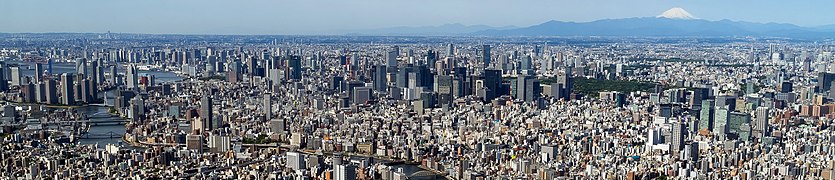 Une vue panoramique de Tokyo depuis le Tokyo Skytree.